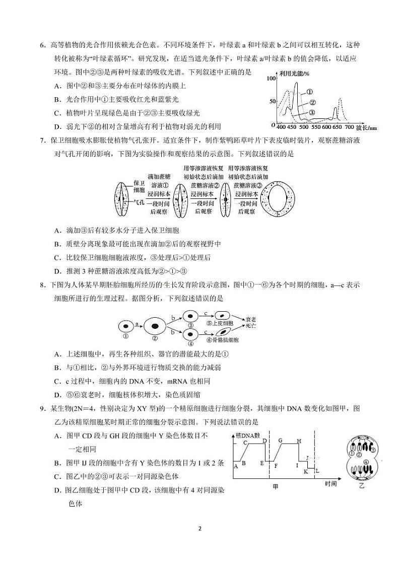 重庆市第一中学校2022届高三上学期9月月考生物试题 PDF版含答案第2页
