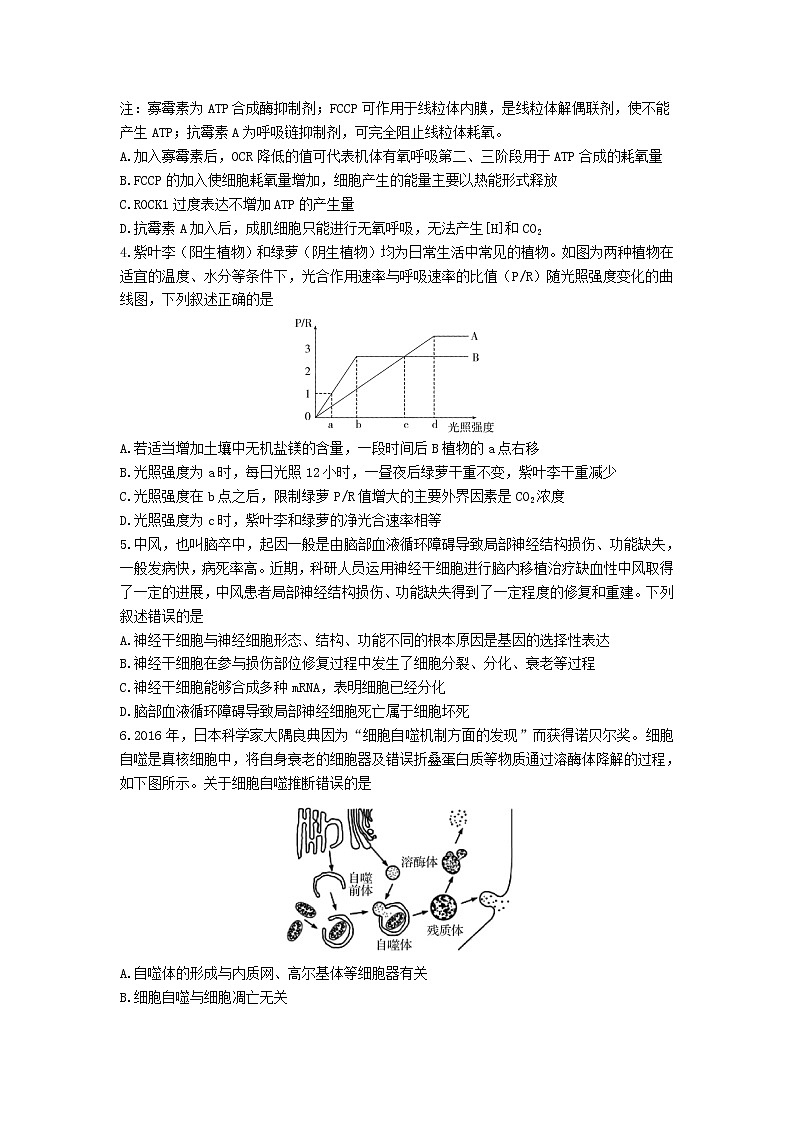 山东师范大学附属中学2021-2022学年高三上学期第二次月考生物试题第2页