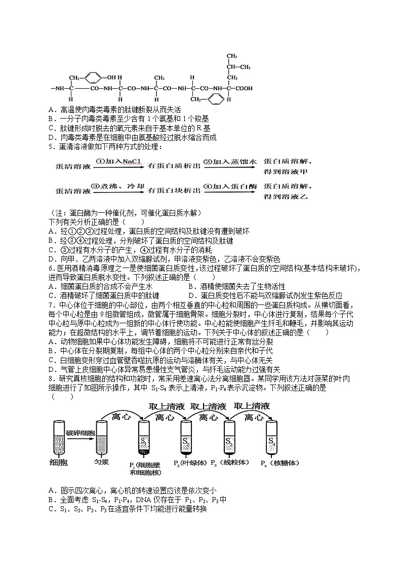 四川省内江市第六中学2022届高三上学期第二次月考生物试题 含答案02