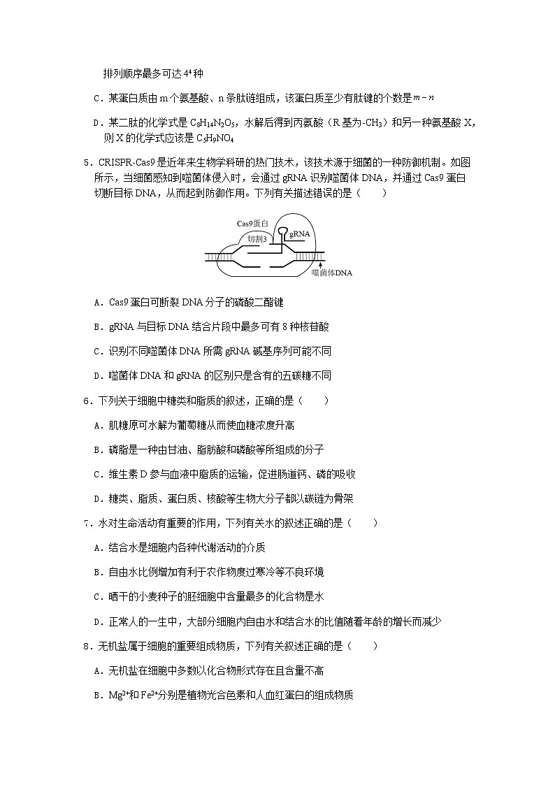 重庆市育才中学2022届高三上学期高考适应性考试（一）生物试卷 含答案第2页