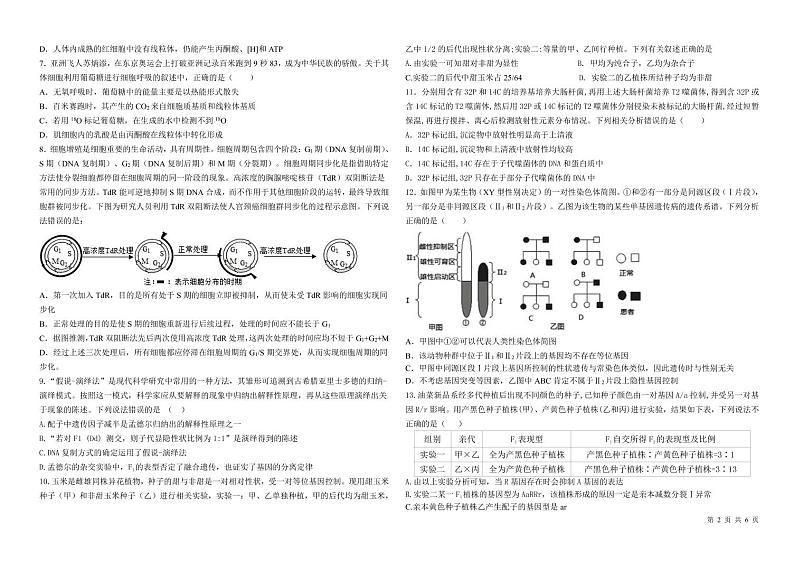 高三联合质量测评 生物 试题第2页
