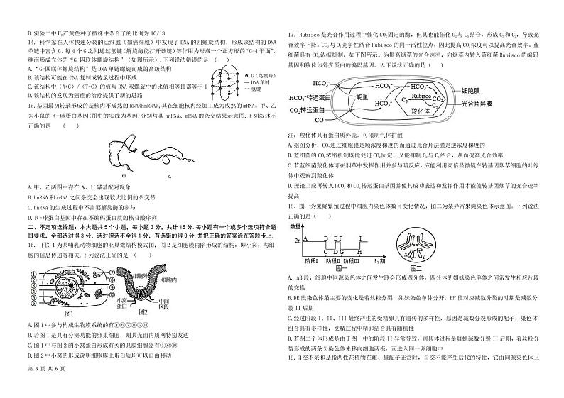 高三联合质量测评 生物 试题第3页