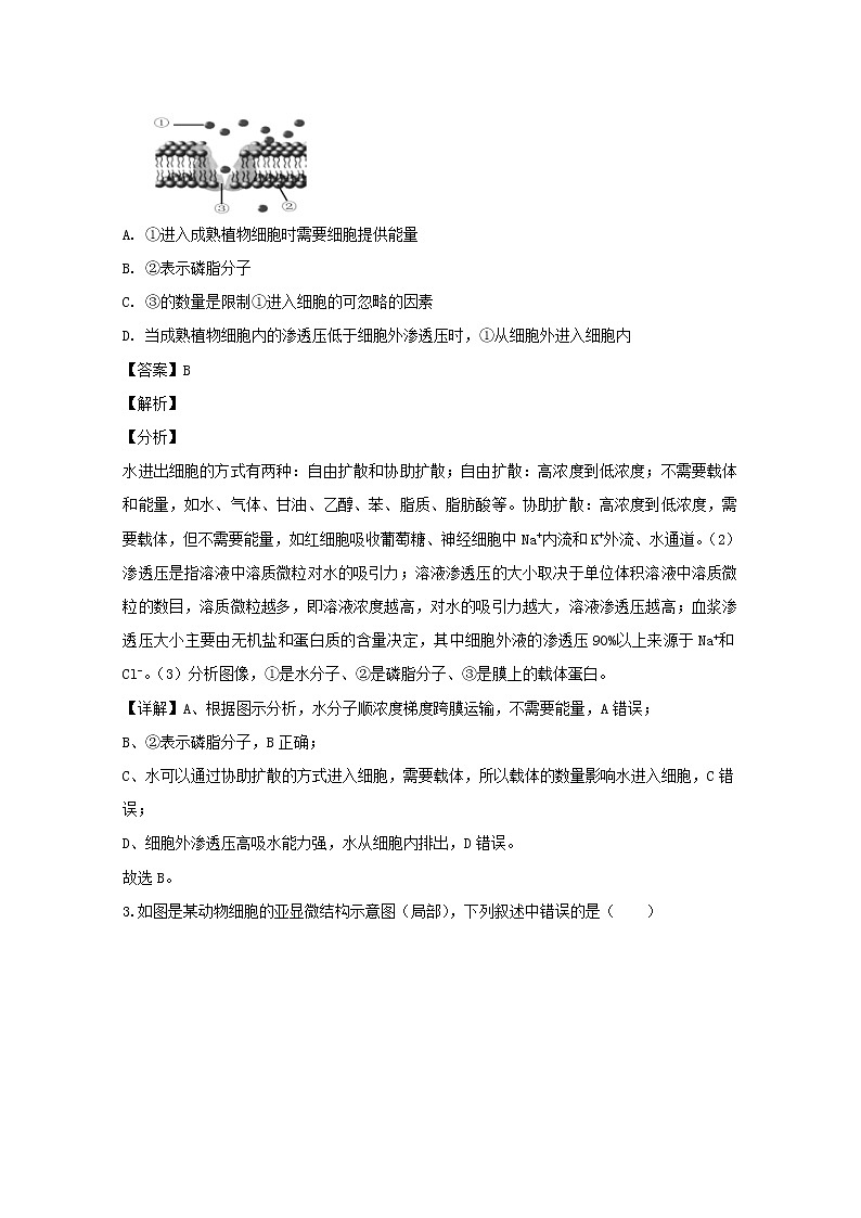 上海市普陀区2020届高三二模考试生物试题+Word版含解析02