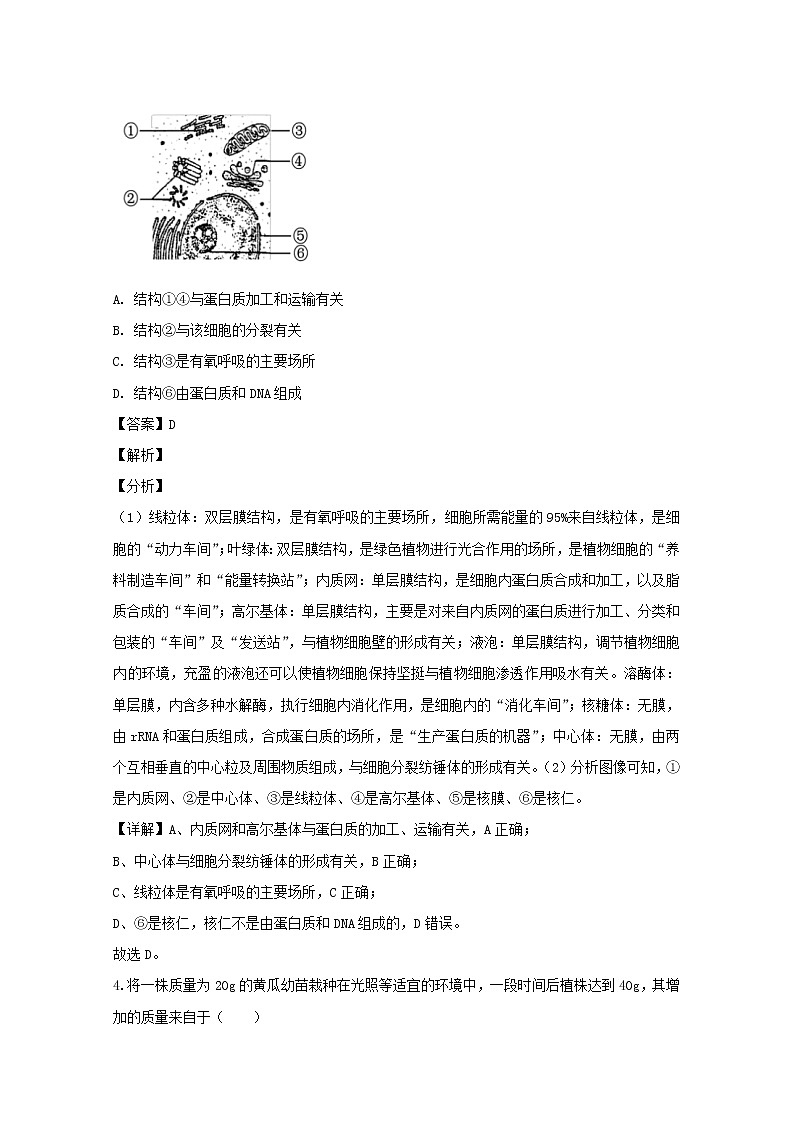 上海市普陀区2020届高三二模考试生物试题+Word版含解析03