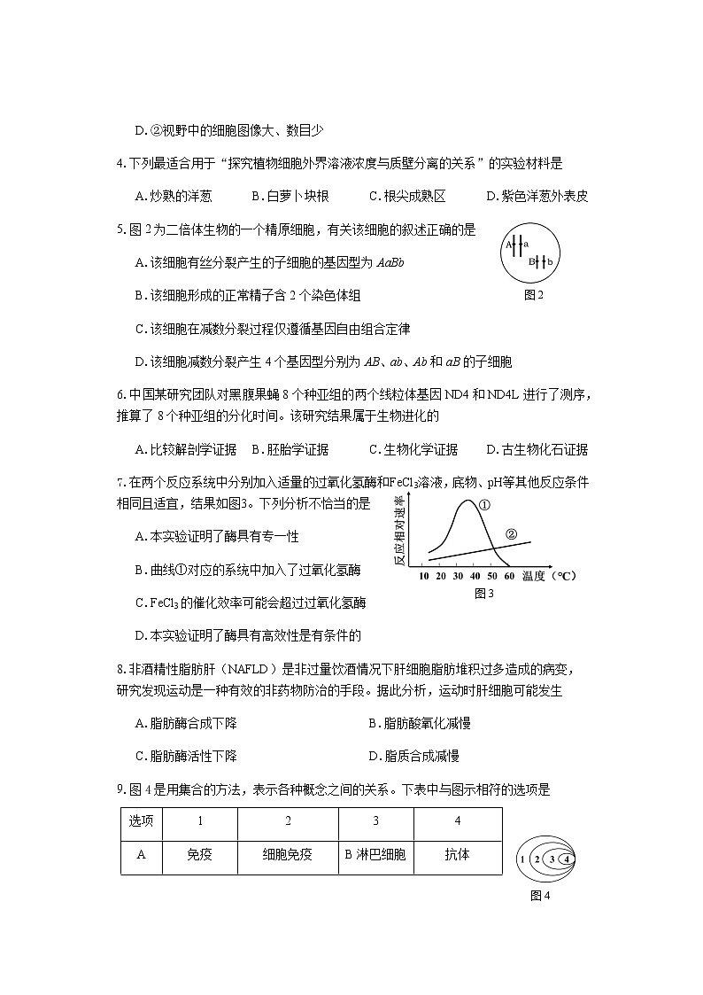 上海市闵行区2021届高三一模考试生物试卷+Word版含答案第2页