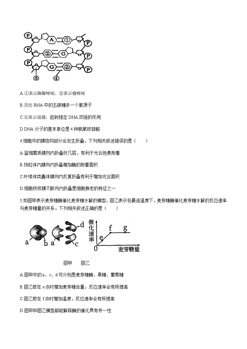 2021届浙江省杭州第二中学高三下学期最后一次热身生物考试试题含答案02
