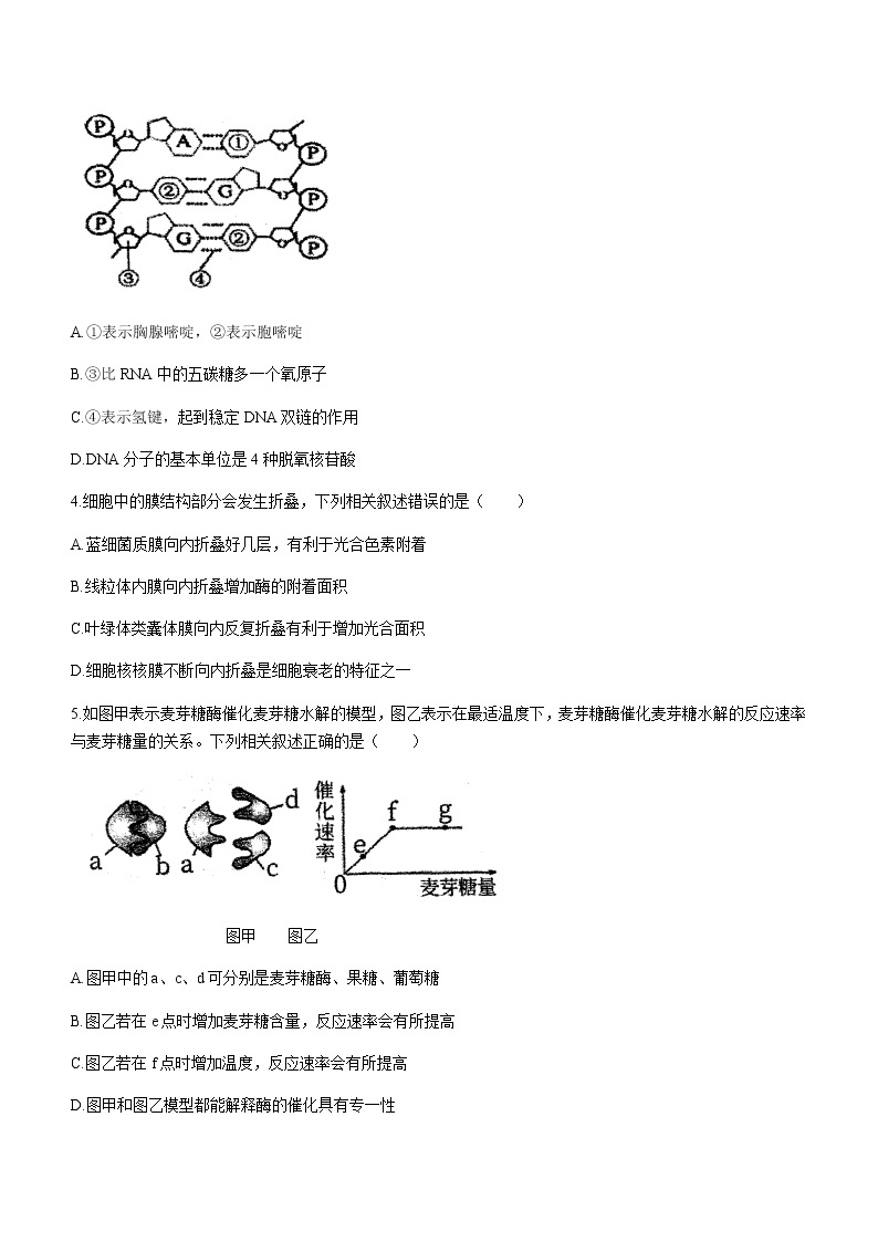 2021届浙江省杭州第二中学高三下学期最后一次热身生物考试试题含答案02
