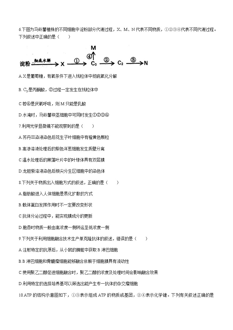 2021届浙江省杭州第二中学高三下学期最后一次热身生物考试试题含答案03