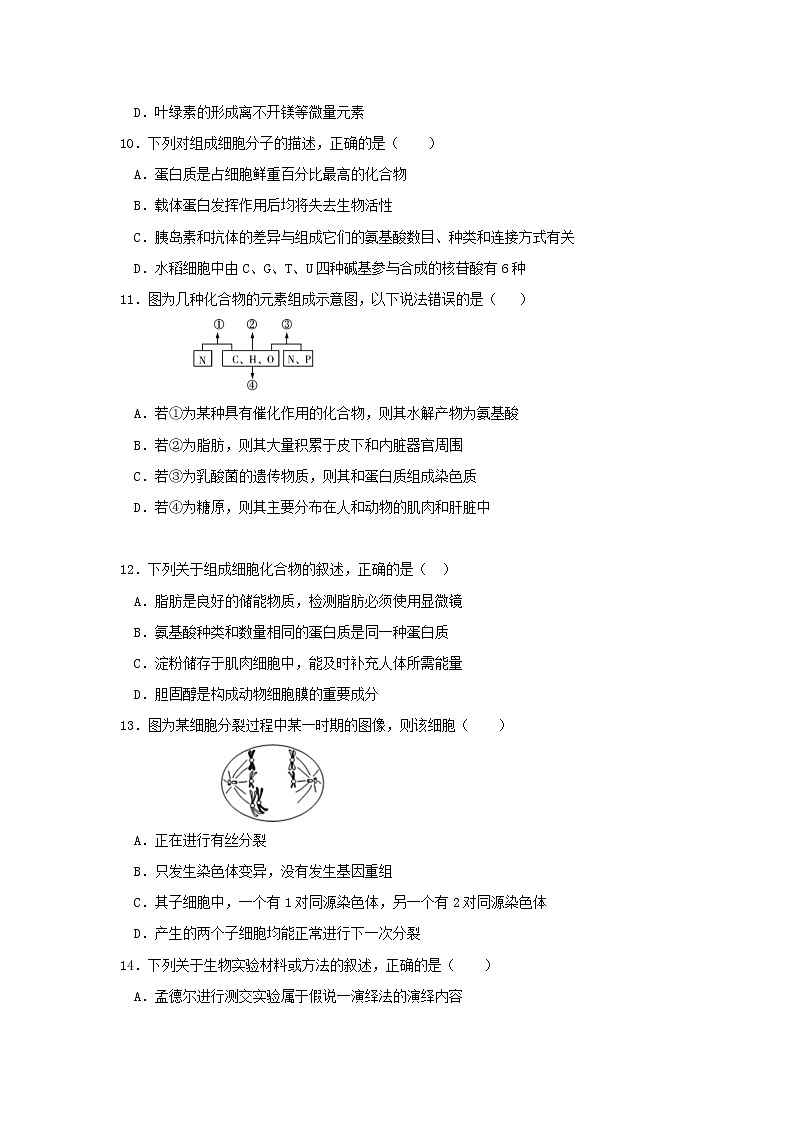 2022届黑龙江省大庆铁人中学高三上学期开学生物考试试题含答案第3页