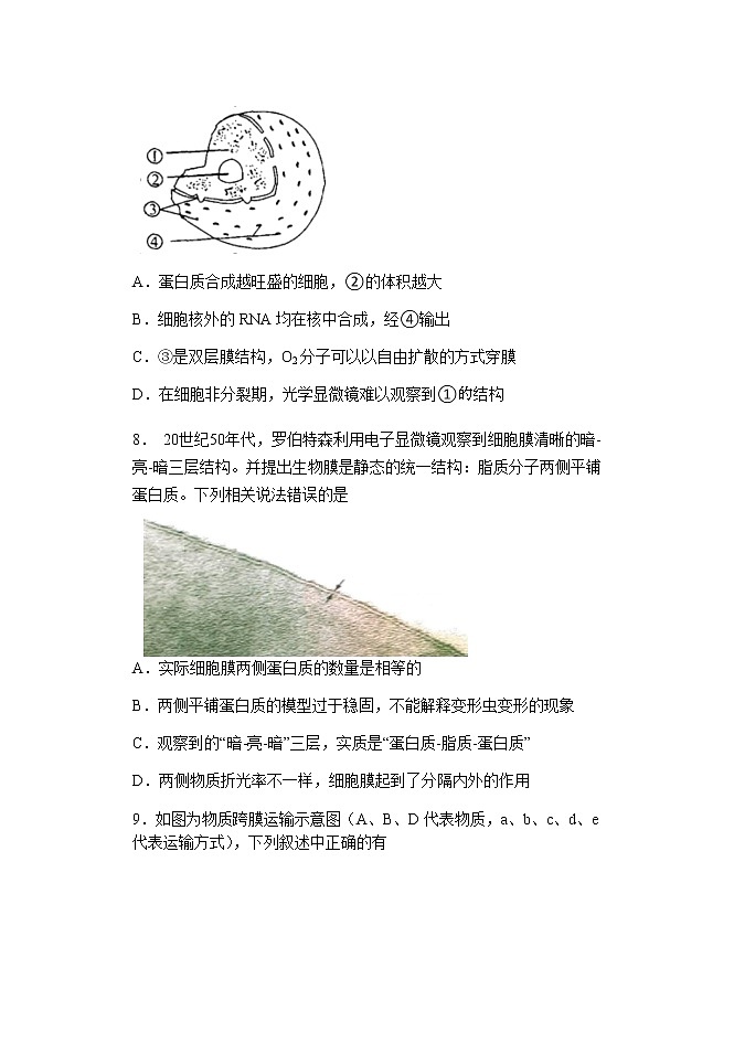 2022届重庆市第八中学高三上学期8月入学摸底测试生物试题含答案03