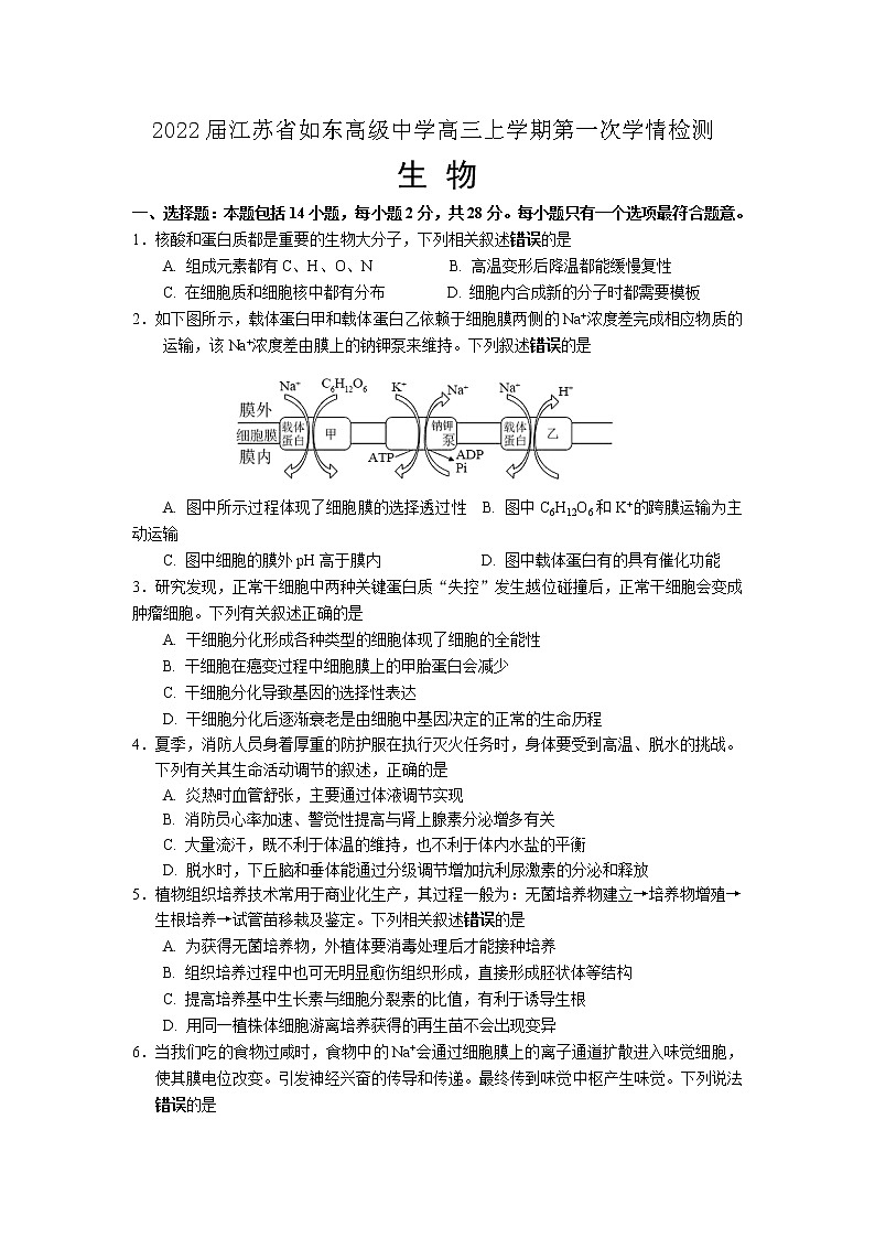 2022届江苏省如东高级中学高三上学期第一次学情检测生物试题含答案第1页