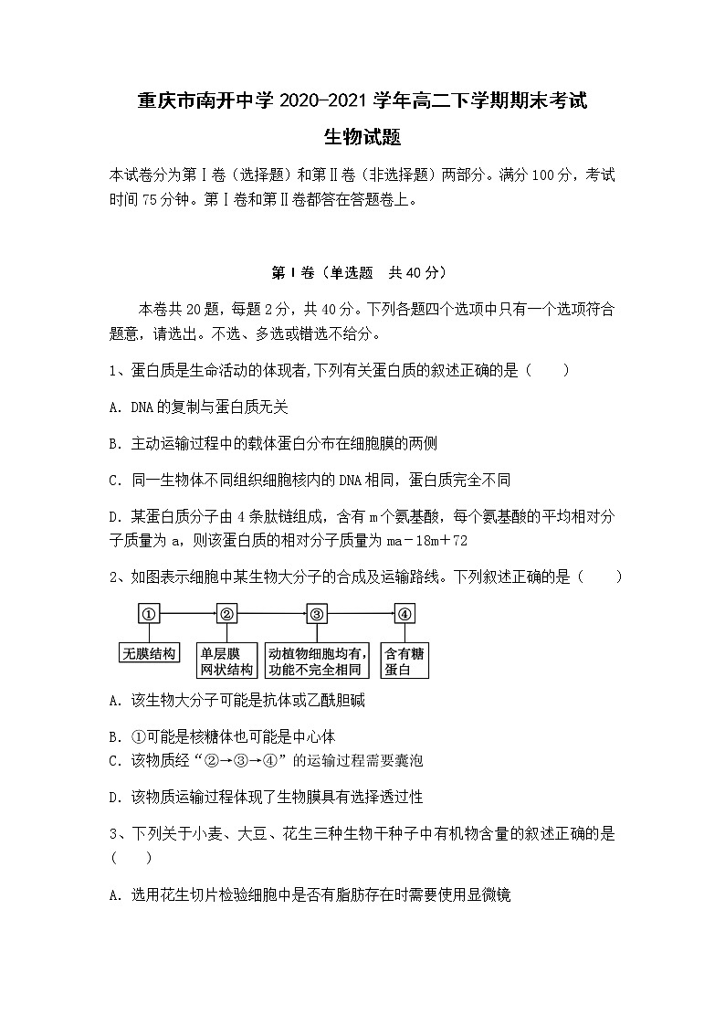 2020-2021学年重庆市南开中学高二下学期期末生物考试试题含答案01