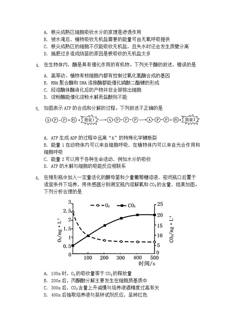 2021-2022学年重庆市西南大学附属中学高二上学期开学生物考试试题含答案第2页