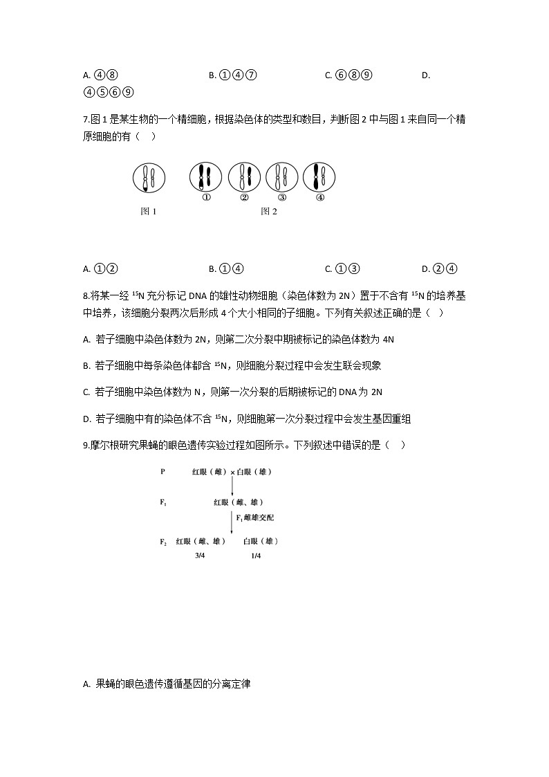 2021-2022学年河北省沧州市第一中学高二上学期开学生物考试试题含答案第3页
