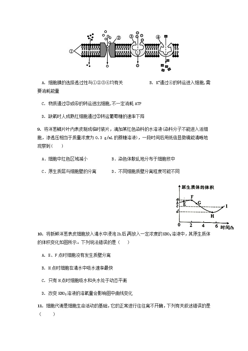 2021-2022学年江西省新余市第四中学高二上学期开学生物考试试题含答案03
