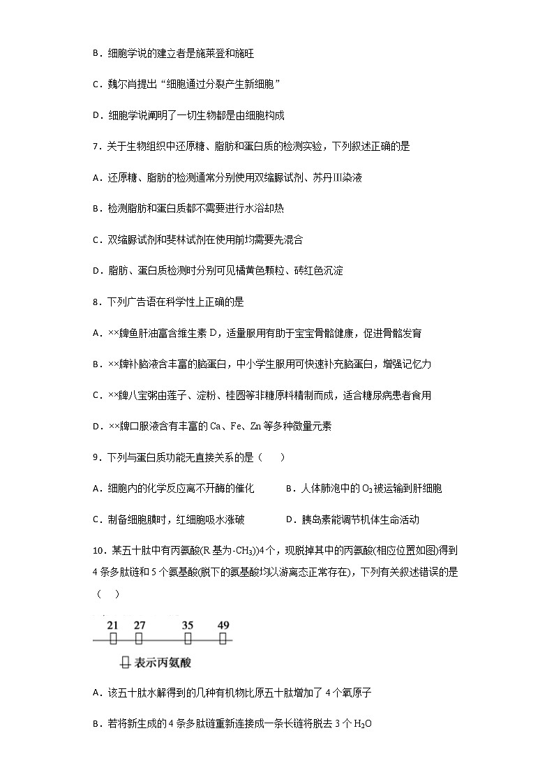 2020-2021学年河北省衡水中学高一上学期期中备考卷生物含解析03