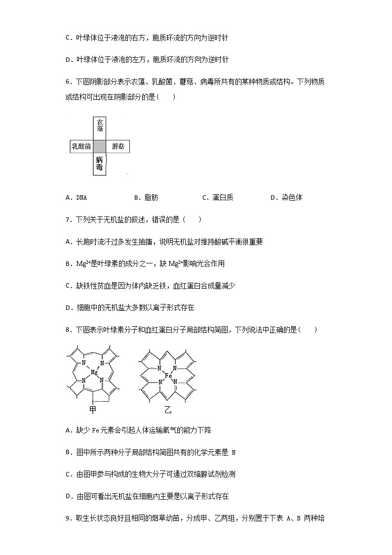 2020-2021学年山西省太原市五中高一上学期10月月考生物试题含解析03