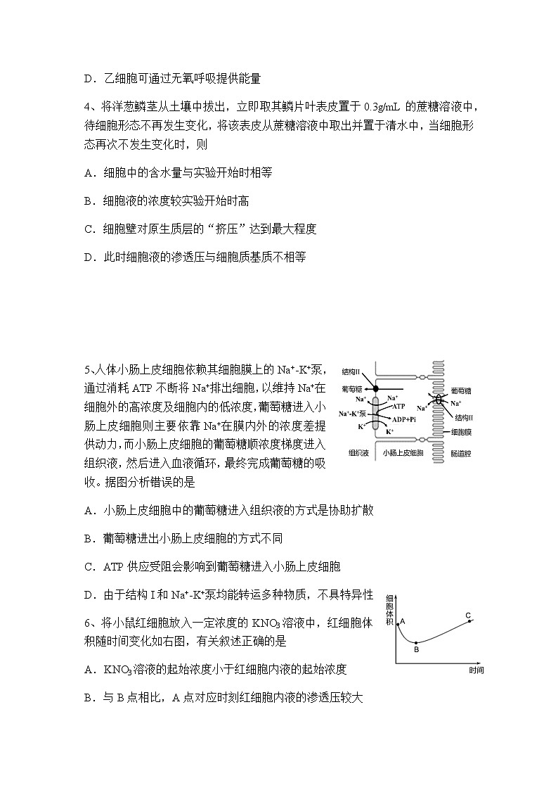 2020-2021学年重庆市南开中学高一下学期期中生物考试试题含答案第2页