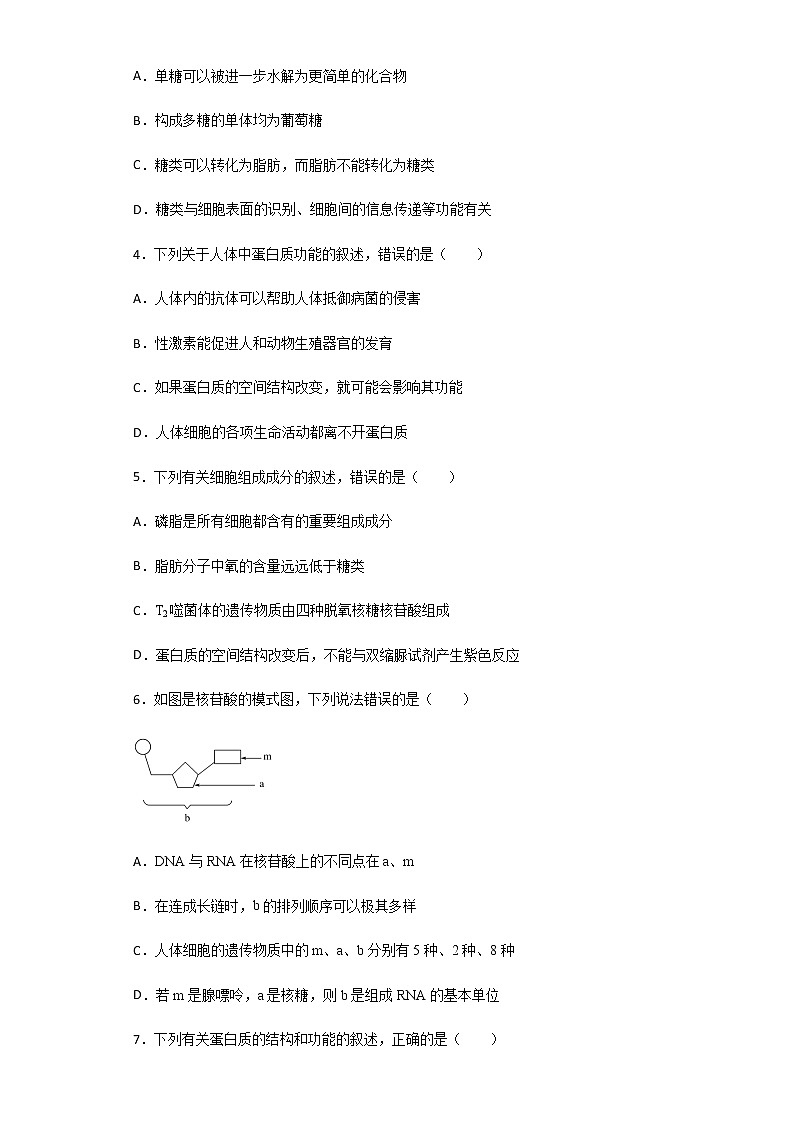 2020-2021学年山东省济南市山东师大附中高一11月学分认定考试（期中）生物试题含解析02