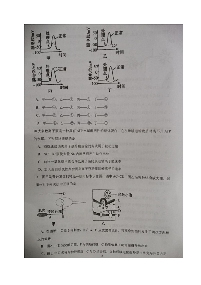 江苏省盐城市伍佑中学2021-2022学年高二上学期第一次阶段考试生物（选修）试题 扫描版含答案03