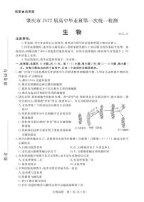 广东省肇庆市2022届高三上学期第一次统一检测（10月） 生物 PDF版含答案