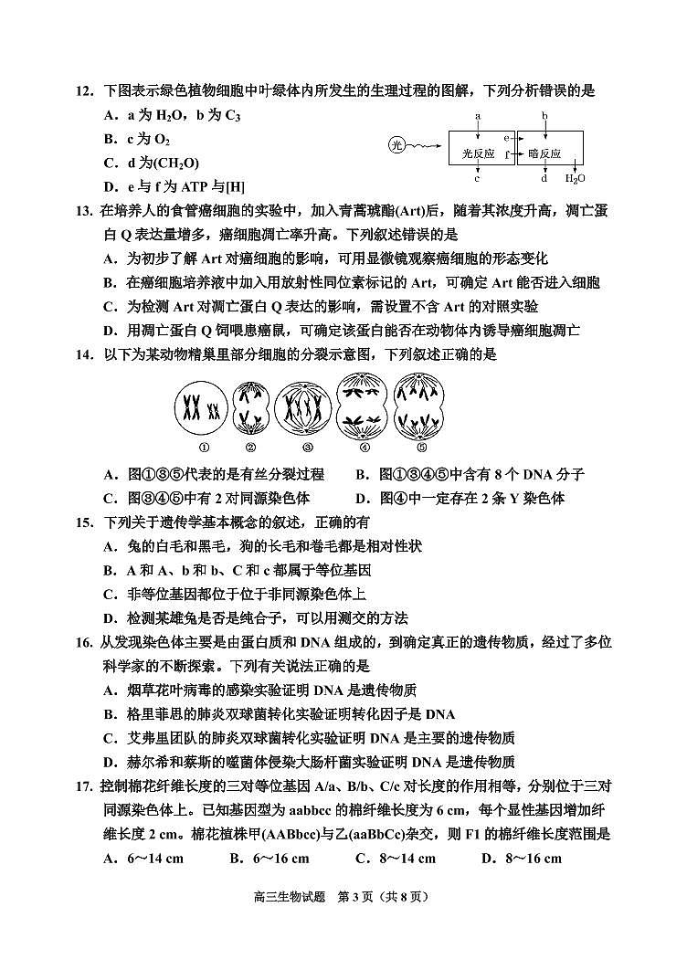 吉林省吉林市2022届高三上学期第一次调研测试 生物 PDF版含答案（可编辑）03