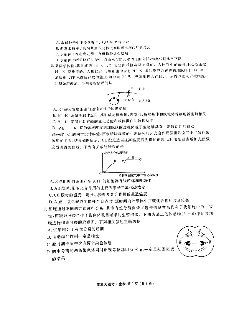 广东省新高考普通高中联合质量测评高三年级一轮省级联考10月份生物试题Doc1第2页