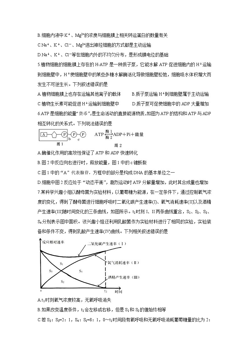 山东省潍坊市2022届高三上学期10月阶段性检测 生物卷+答案02