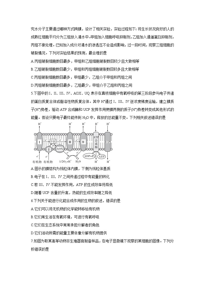 湖南省三湘名校、五市十校教研教改共同体2022届高三上学期第一次大联考 生物卷+答案02