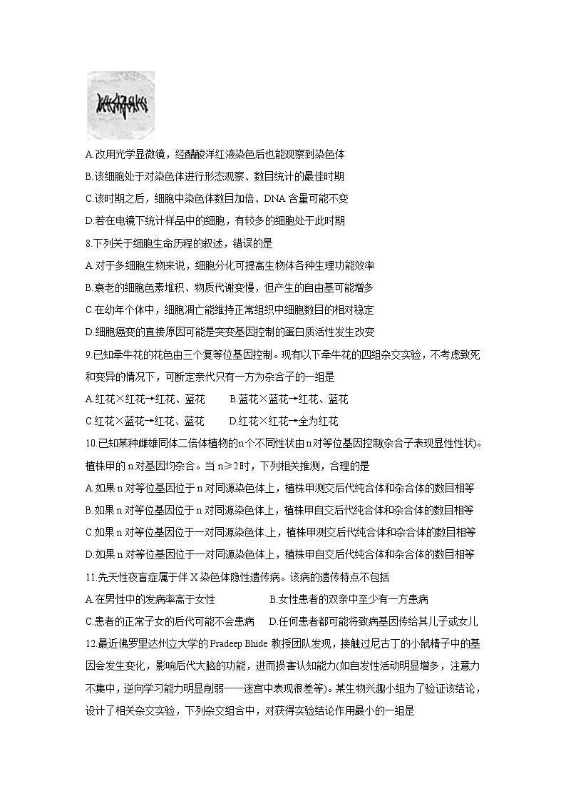 湖南省三湘名校、五市十校教研教改共同体2022届高三上学期第一次大联考 生物卷+答案03