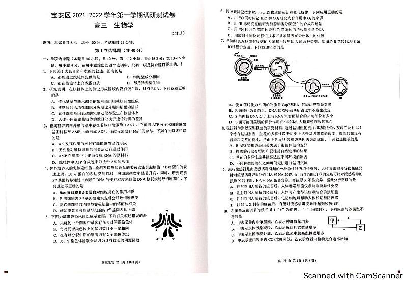 广东省深圳市宝安区2022届高三上学期10月调研测试生物试题 扫描版含答案01