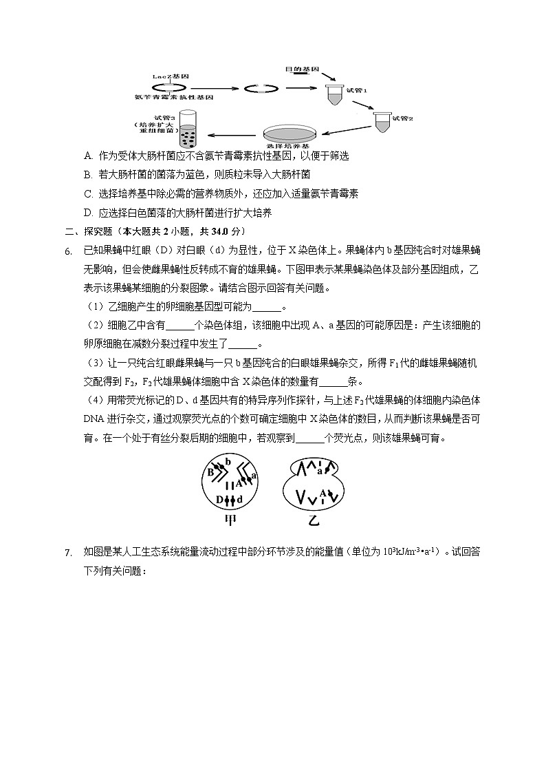 2020年北京市丰台区高考生物二模试卷-(含答案解析)第2页