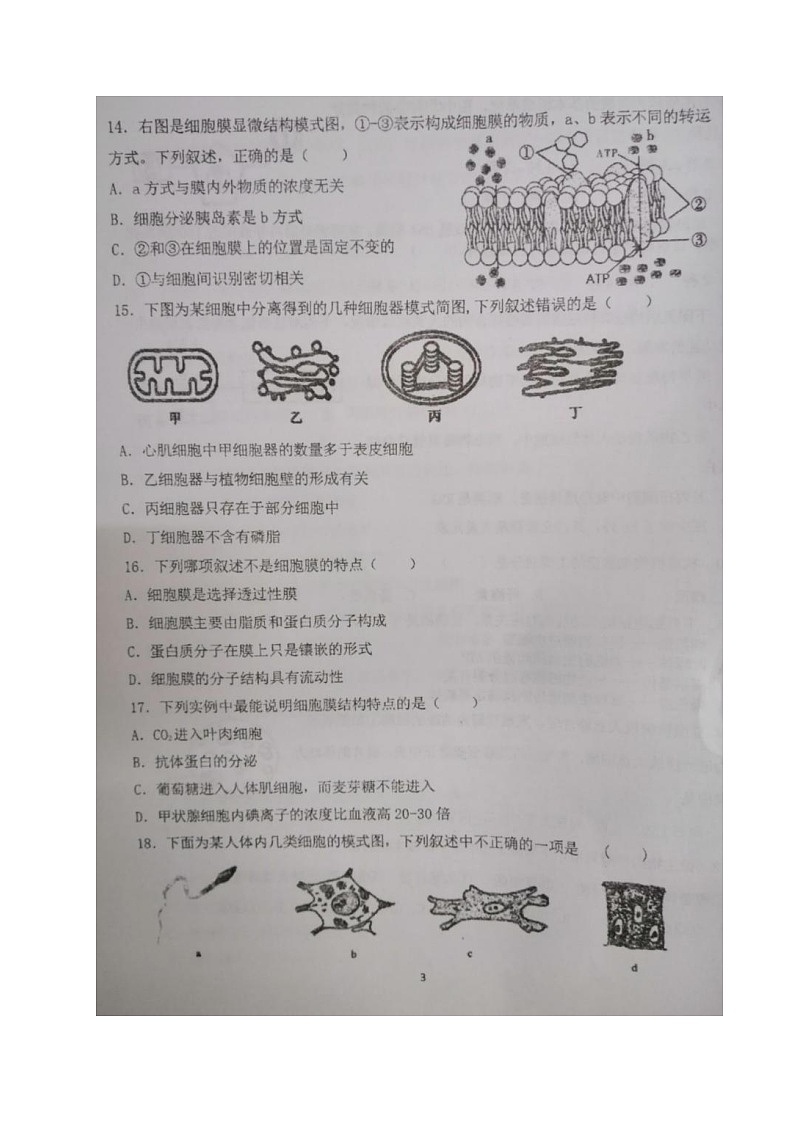 江苏省盐城市伍佑中学2021-2022学年高二上学期第一次阶段考试生物（必修）试题 扫描版含答案第3页