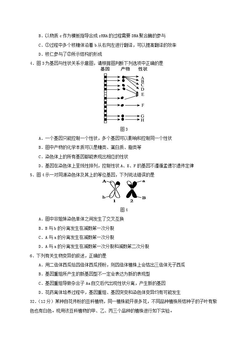 西藏自治区拉萨中学2021-2022学年高二上学期第一次月考理综生物试题 Word版含答案02