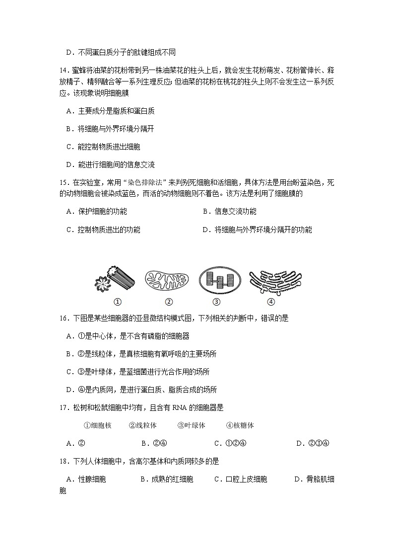 湖北省沙市高级中学2021-2022学年高一上学期期中考试生物试题 Word版含答案第3页