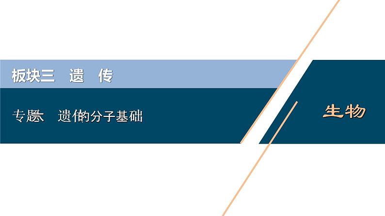 专题06 遗传的分子基础-2021年高考生物二轮模块复习课件（共81张PPT）第1页