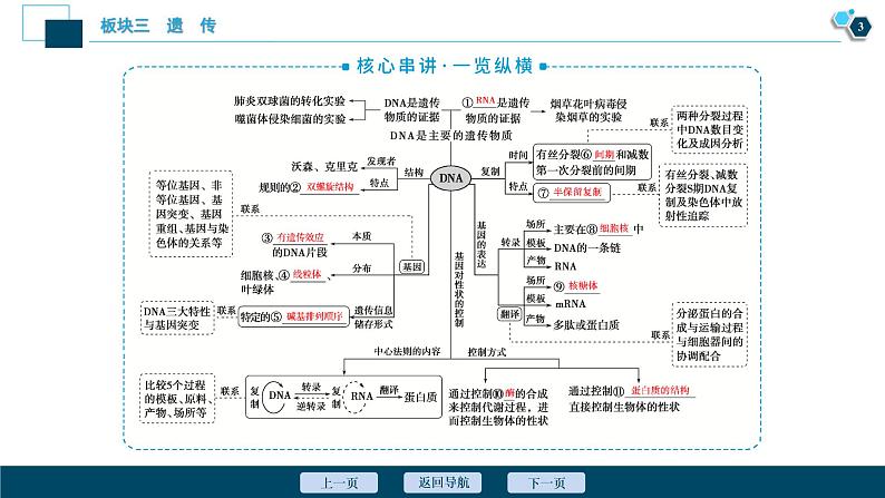 专题06 遗传的分子基础-2021年高考生物二轮模块复习课件（共81张PPT）第4页