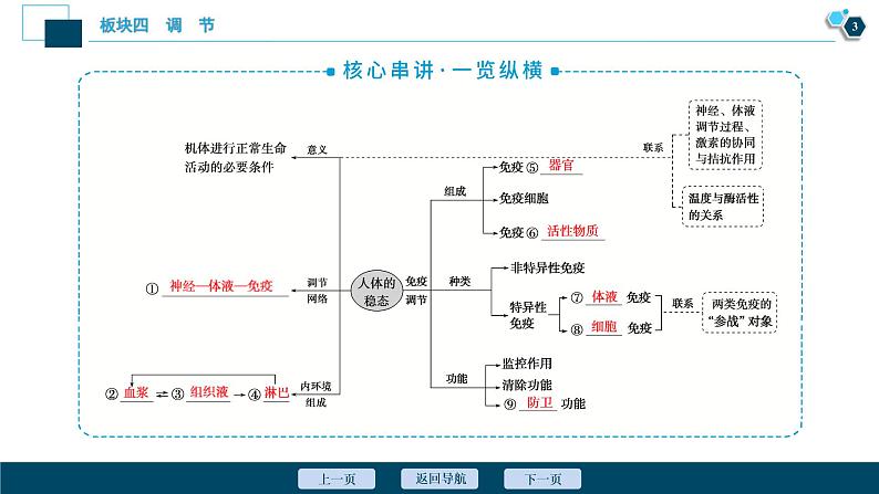 专题10 人体的内环境与稳态-2021年高考生物二轮模块复习课件（共62张PPT）第4页