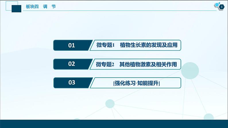 专题11 植物的激素调节-2021年高考生物二轮模块复习课件（共84张PPT）02