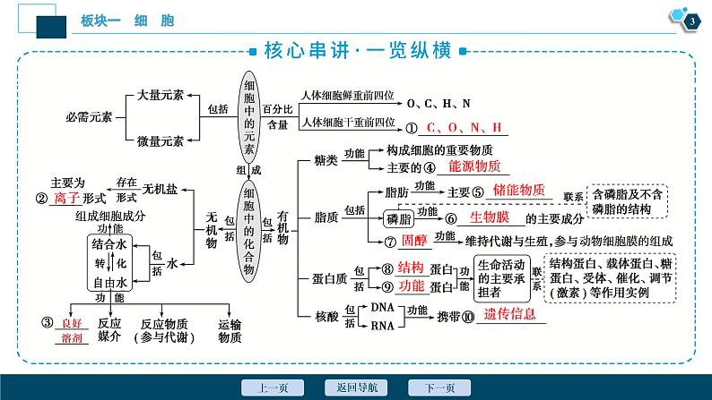 专题01 细胞的分子组成-2021年高考生物二轮模块复习课件（共91张PPT）第4页