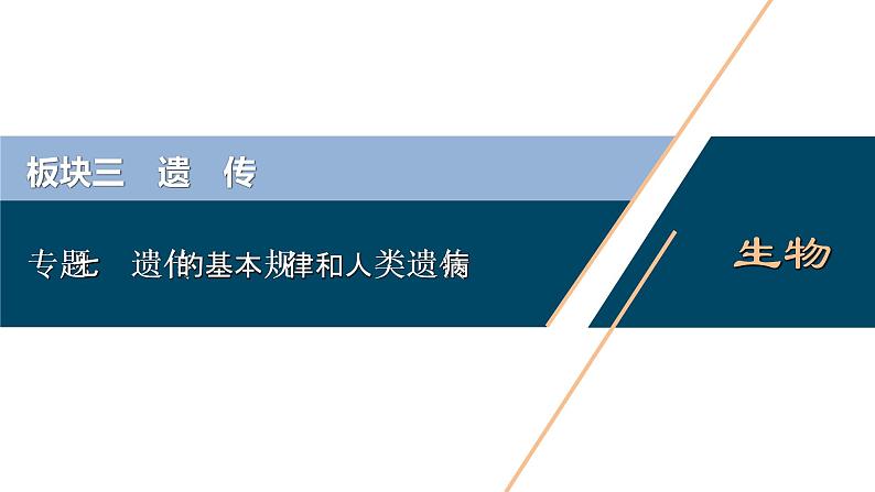 专题07 遗传的基本规律和人类遗传病-2021年高考生物二轮模块复习课件（共158张PPT）第1页