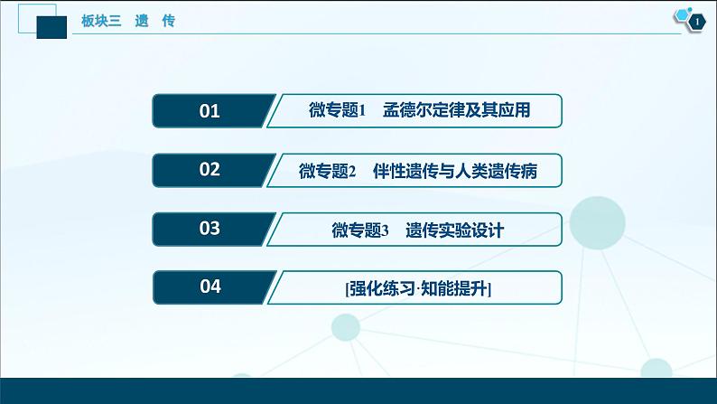 专题07 遗传的基本规律和人类遗传病-2021年高考生物二轮模块复习课件（共158张PPT）第2页