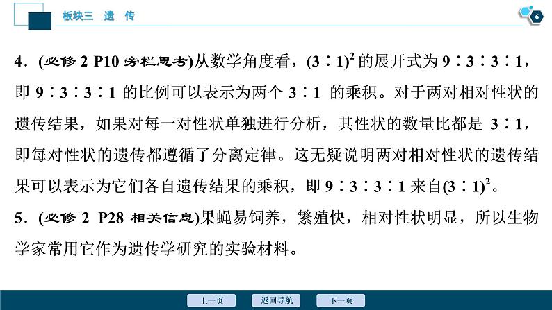 专题07 遗传的基本规律和人类遗传病-2021年高考生物二轮模块复习课件（共158张PPT）第7页