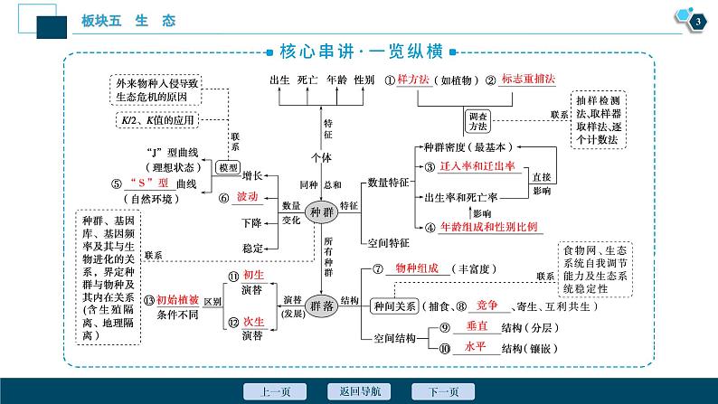 专题12 种群和群落-2021年高考生物二轮模块复习课件（共77张PPT）第4页