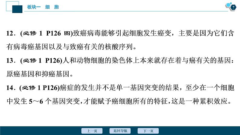 专题03 细胞的生命历程-2021年高考生物二轮模块复习课件（共93张PPT）第8页