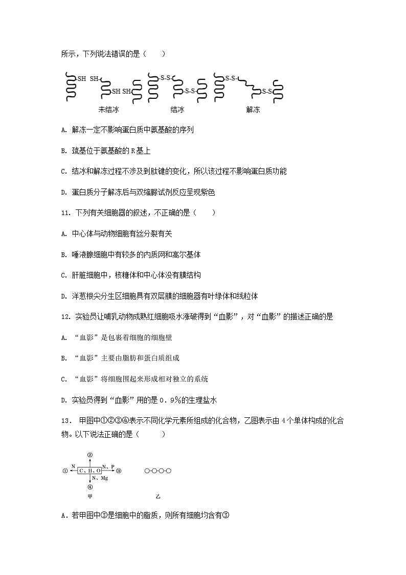 福建省南安市侨光中学2021-2022学年高一上学期第一次阶段考生物试题 含答案03