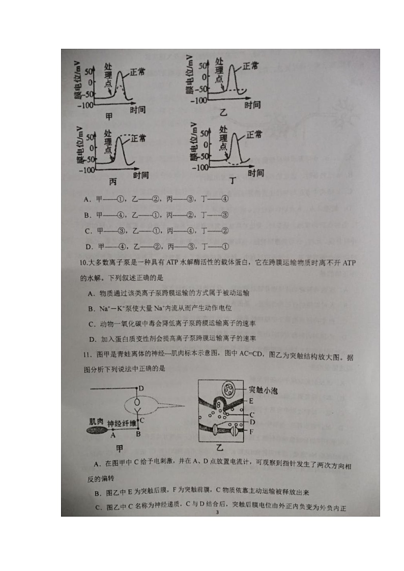 江苏省盐城市伍佑中学2021-2022学年高二上学期第一次阶段考试生物（选修）试题 扫描版含答案03