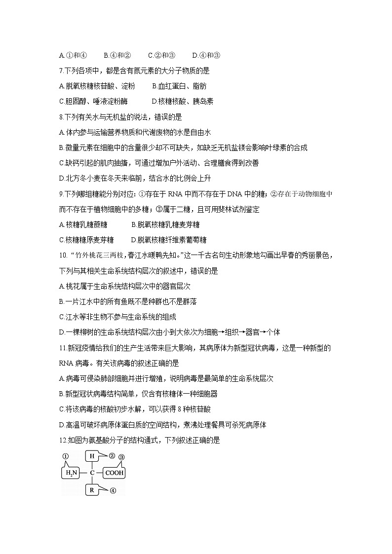 山西省运城市2021-2022学年高一上学期10月月考 生物 含答案 试卷02