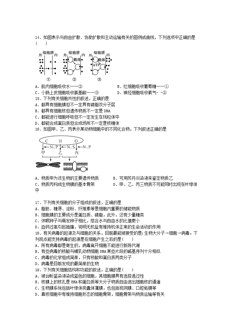 江西省丰城市第九中学2022届高三上学期9月月考生物试题 含答案第3页