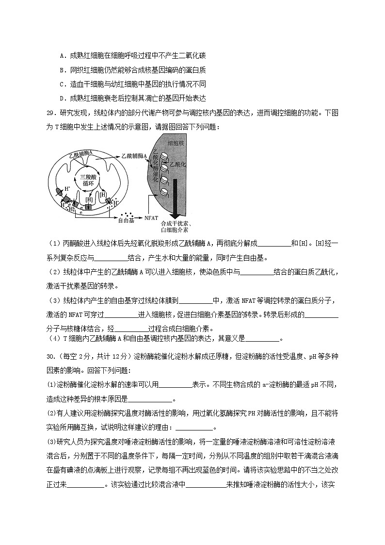 西藏拉萨中学2022届高三上学期第二次月考理综生物试题 含答案03